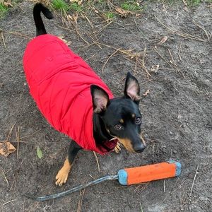 Meet your Posher, Christina